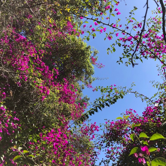 Meet your Posher, Willow - Picture 1 of 1